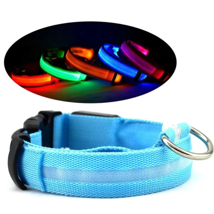 A light blue reflective dog collar with a black plastic buckle and a silver metal ring, shown on a white background with an oval inset demonstrating its glow in multiple colors.
