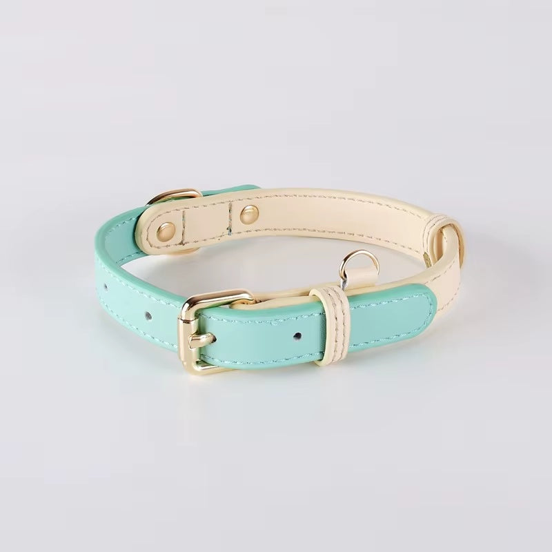 Mint green dog collar with gold hardware on a light gray background