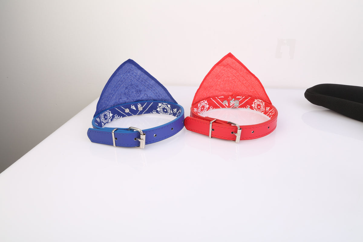 Two dog collars, one blue and one red, on a white surface.