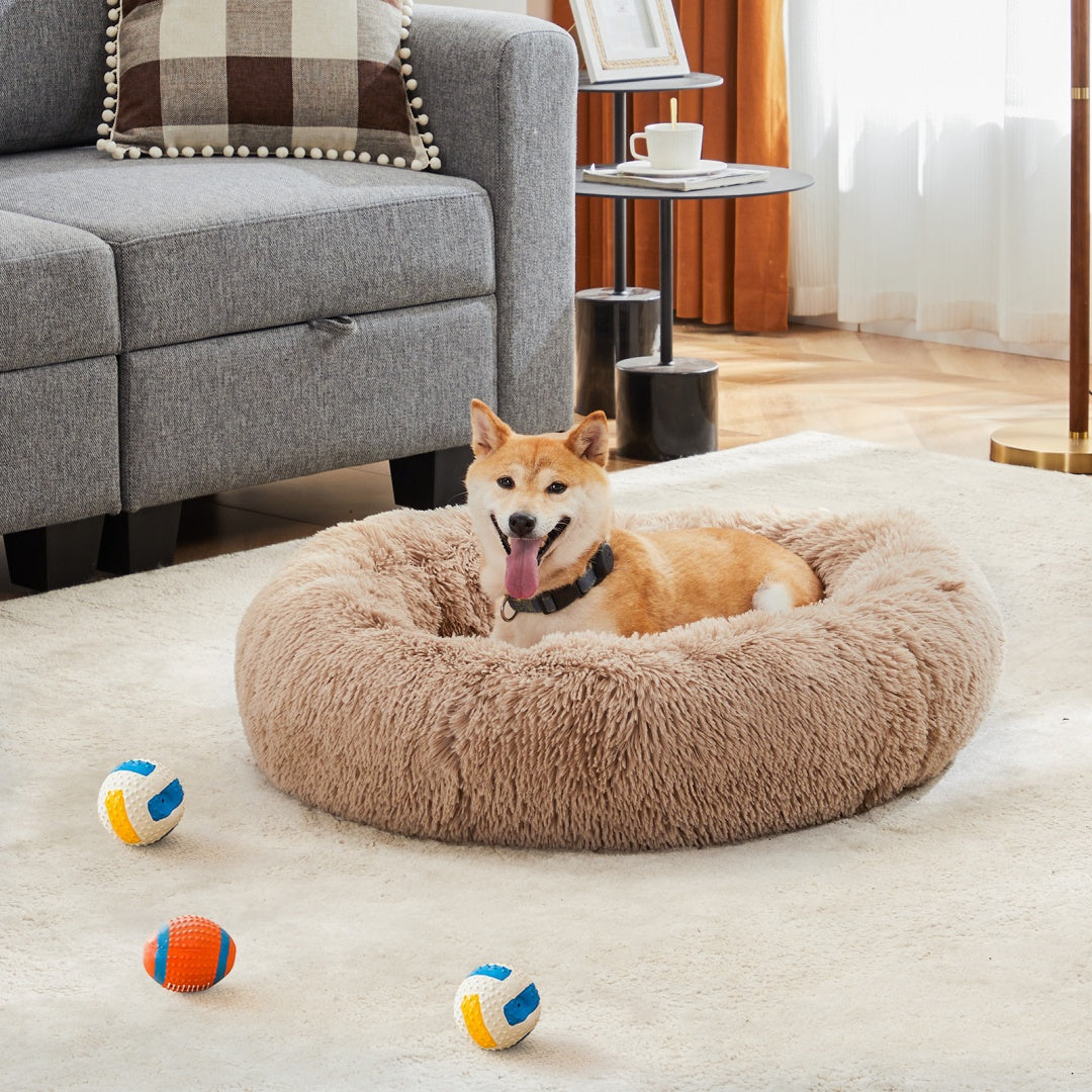 Dog lying on a fluffy beige pet bed in a living room with colorful balls nearby.