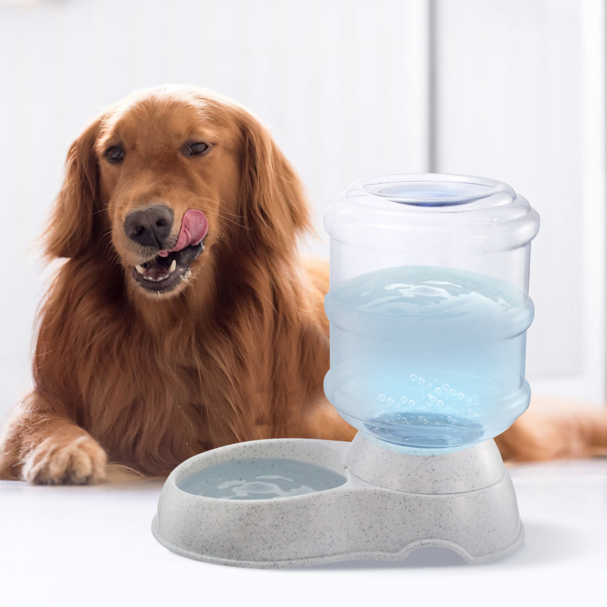 A golden retriever dog is lying on a white floor next to an automatic pet water fountain with a clear water reservoir and a gray speckled base.