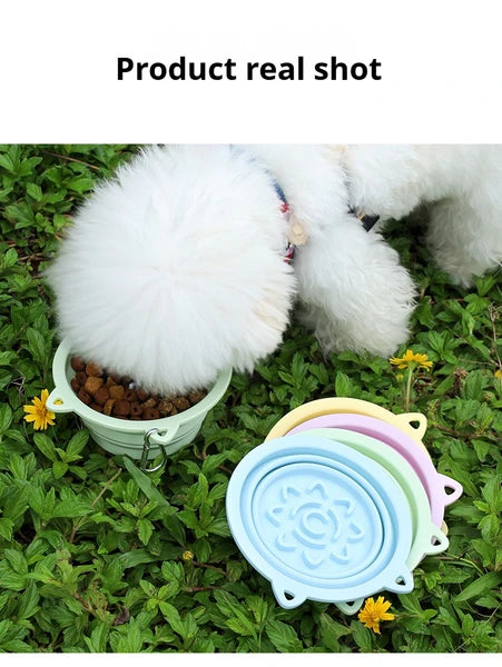 Pet eating from a bowl with silicone lids on a grassy background