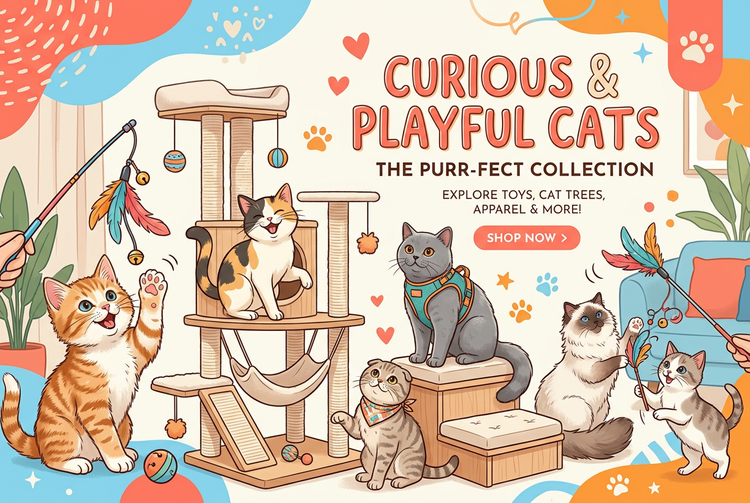 Cats Collection Banner