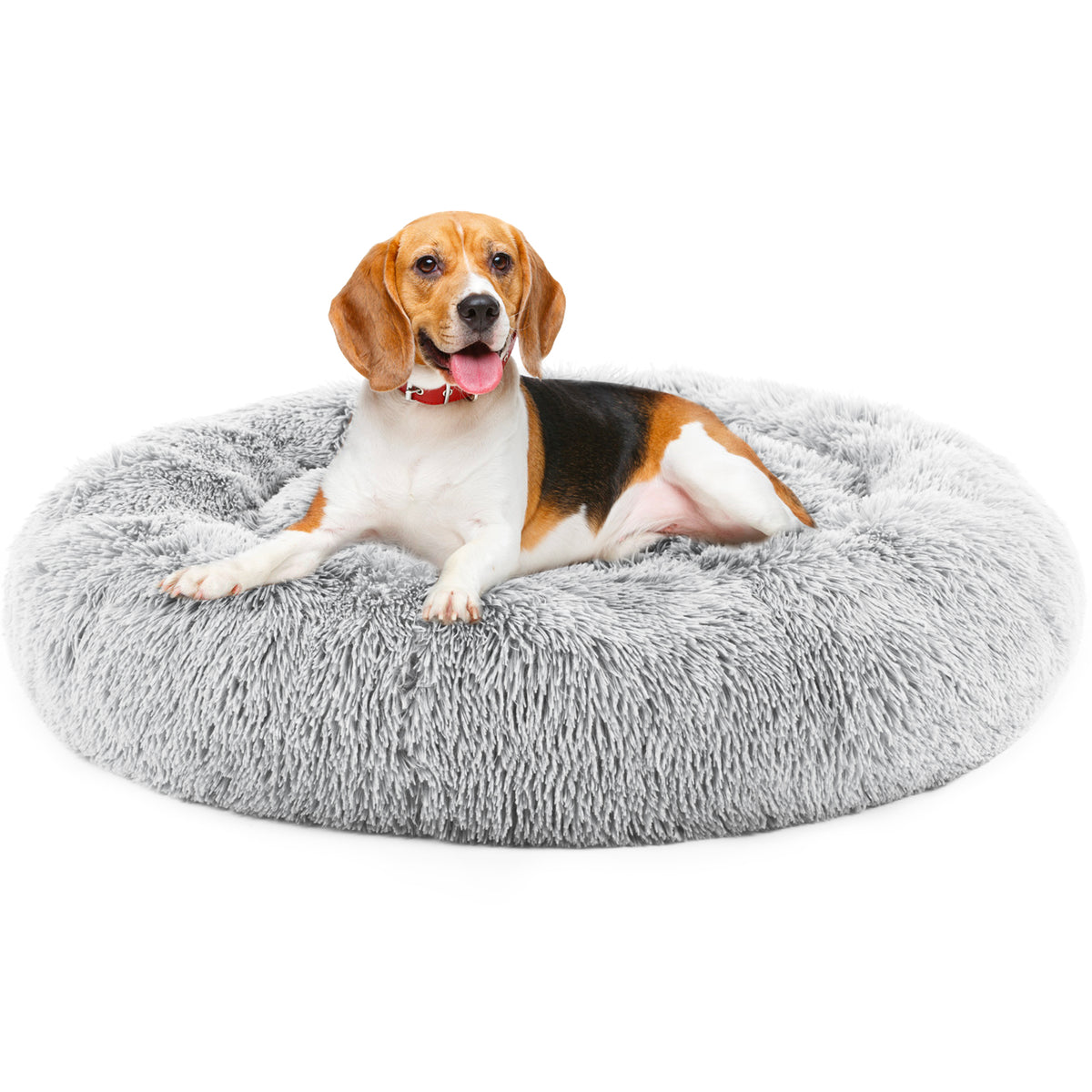 Dog lying on a fluffy gray pet bed against a white background