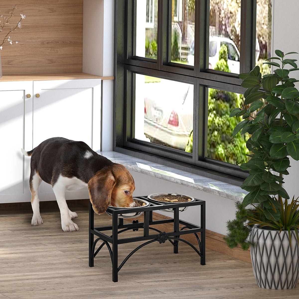 Dog eating from a elevated pet feeder in a home setting with a window and plant in the background.