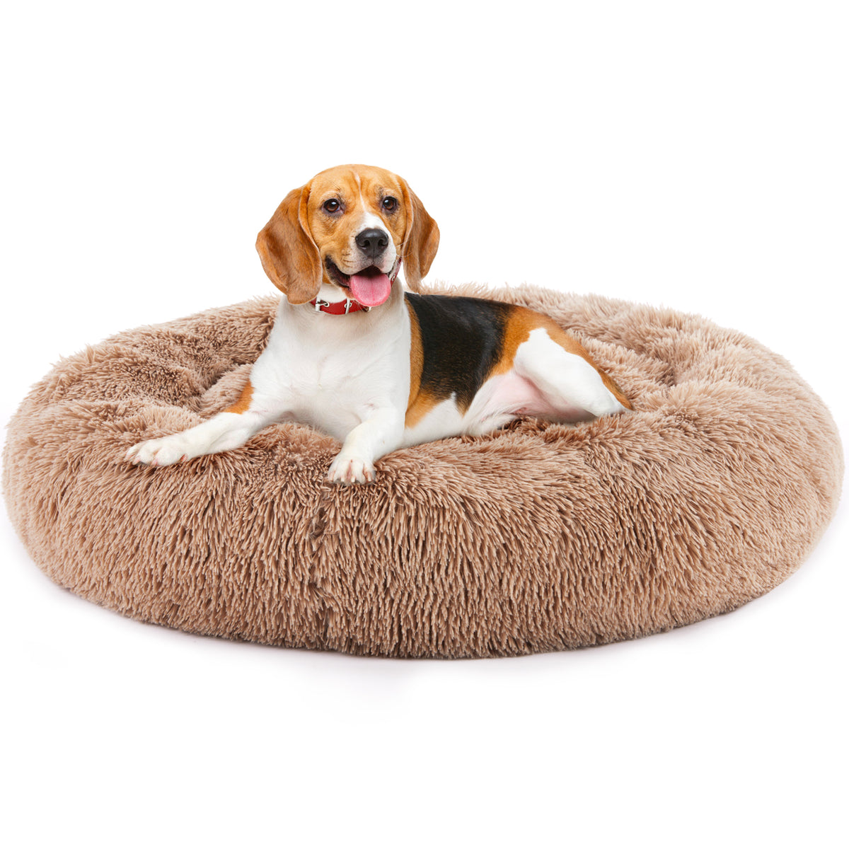 Dog lying on a fluffy beige pet bed against a white background