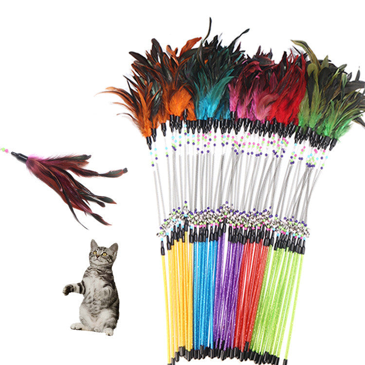 Colorful feather cat toys with a cat sitting next to them on a white background