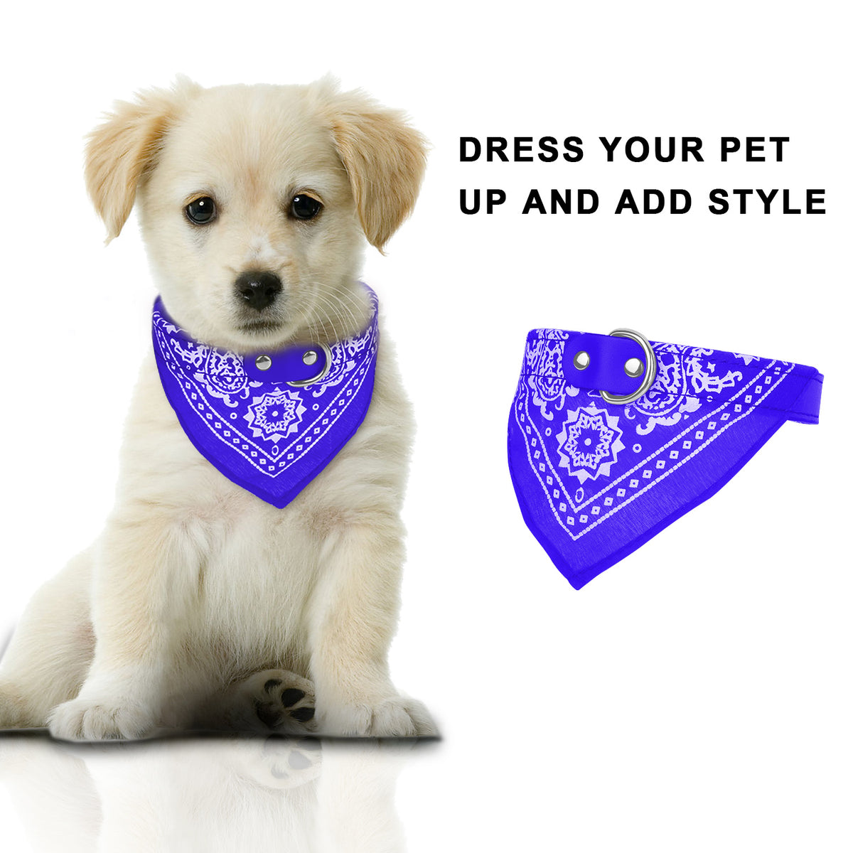 Puppy wearing a blue bandana with text 'Dress Your Pet Up and Add Style' on a white background
