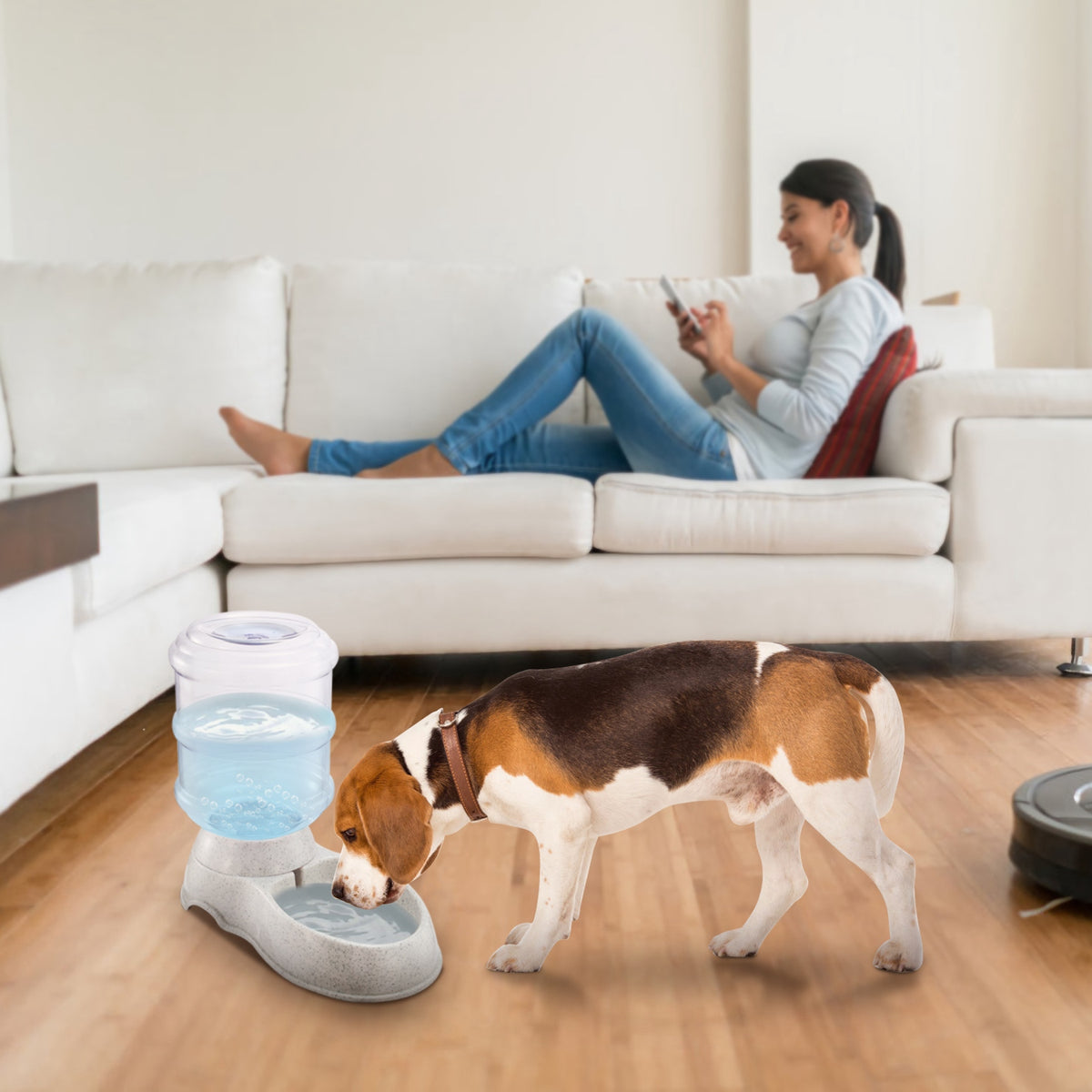 Woman sitting on a couch using a tablet, with a dog drinking water from a pet fountain in a living room.