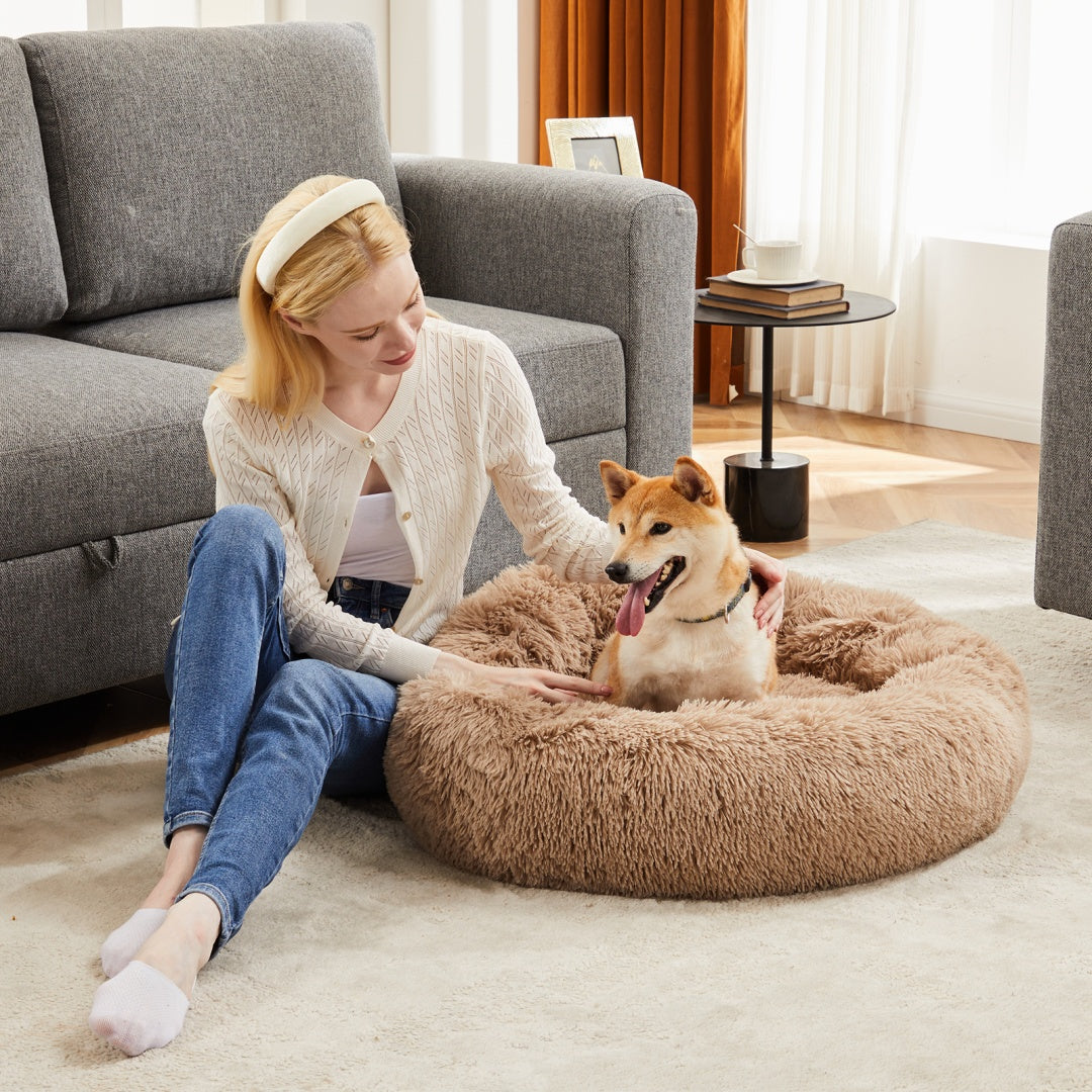 Woman sitting on the floor with a dog on a fluffy brown pet bed in a living room.