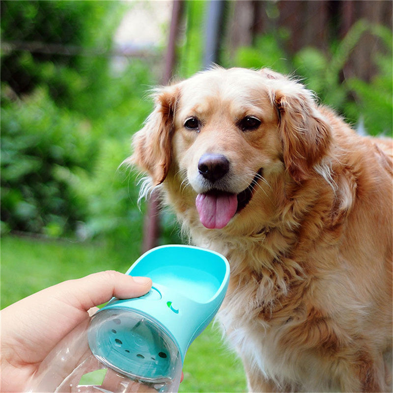 A golden retriever dog standing outdoors next to a hand holding a turquoise pet water bottle with a clear collar, with a blurred green garden background.