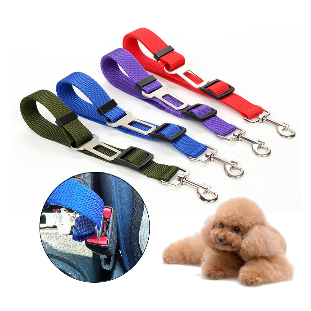 Four pet car seatbelt leash straps in red, purple, blue, and olive green, displayed on a white background with a circular inset showing the blue strap installed in a car seatbelt and a small tan dog pictured.