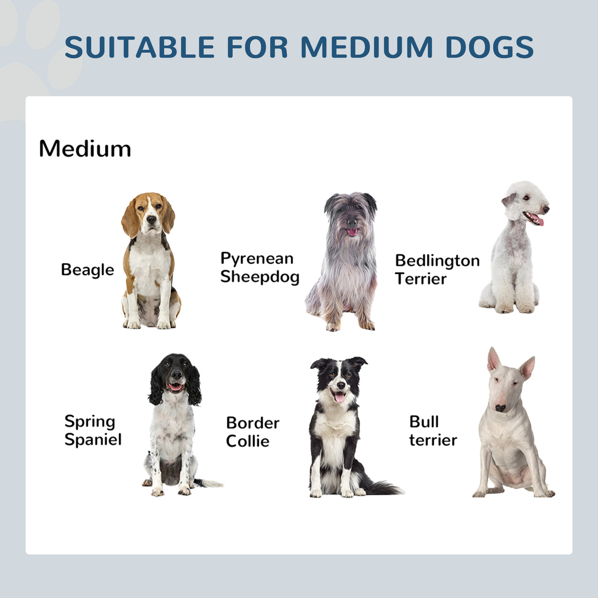 Chart showing suitable dog breeds for medium-sized dogs with images and names.