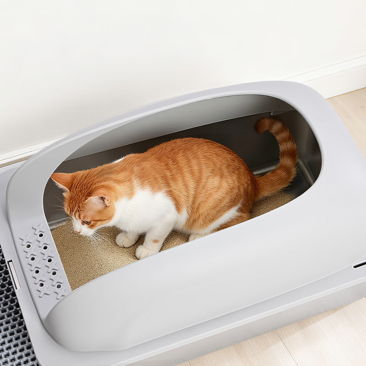 Cat using a covered litter box on a light wood floor.