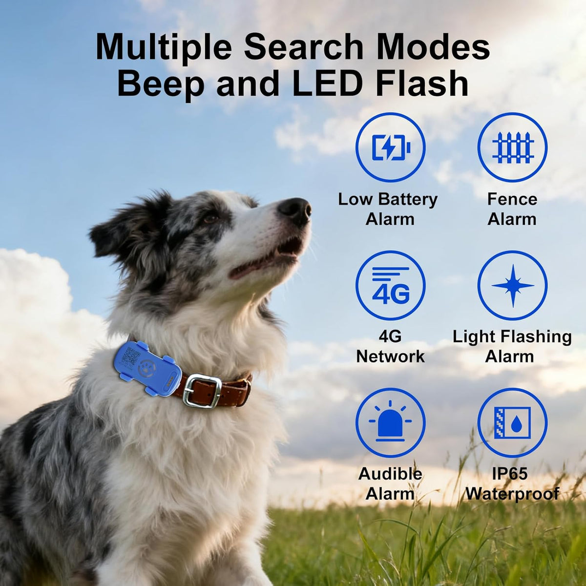 Dog wearing a blue collar with multiple search mode features displayed on screen