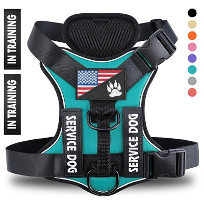 Teal service dog harness with 'In Training' label and American flag patch on a white background.