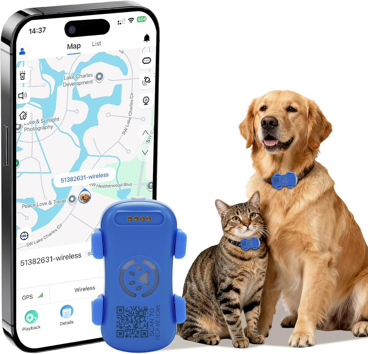 Smart pet tag with a phone app displaying a map, next to a dog and cat wearing blue collars.