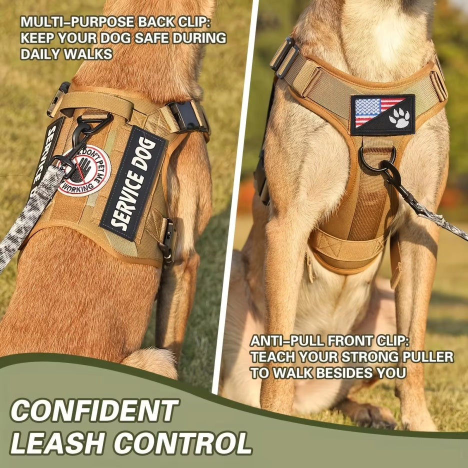 Dog harness with 'Service Dog' label and American flag patch, on a natural background.