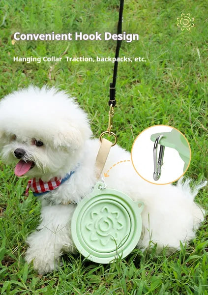 White dog on a grassy field with a green pet accessory and hook design.