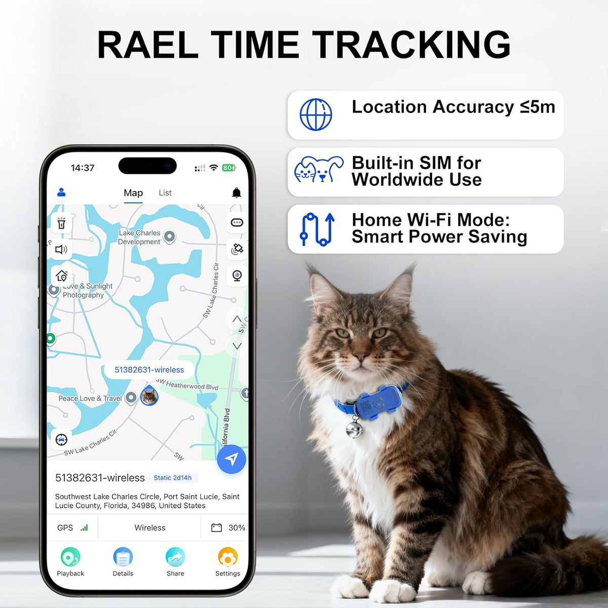 Smartphone displaying a location app with a cat wearing a blue collar, sitting next to it.