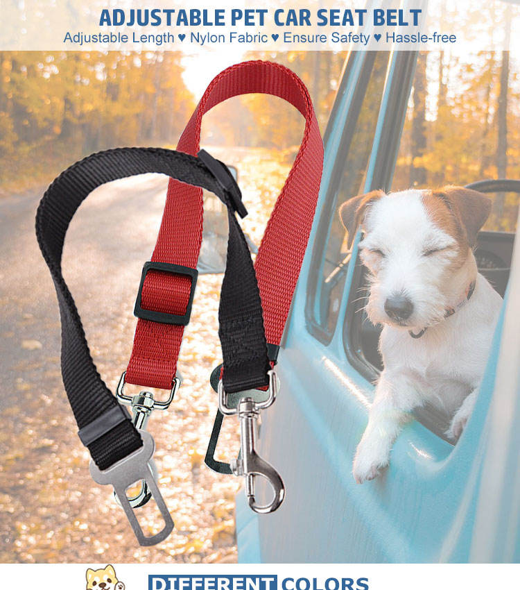 Adjustable pet car seat belt with a dog in a car seat in the background.