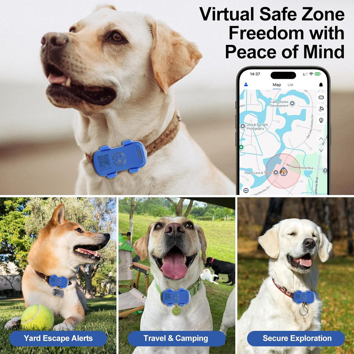 Collage of dogs wearing a blue device with app interface showing 'Virtual Safe Zone Freedom with Peace of Mind'.