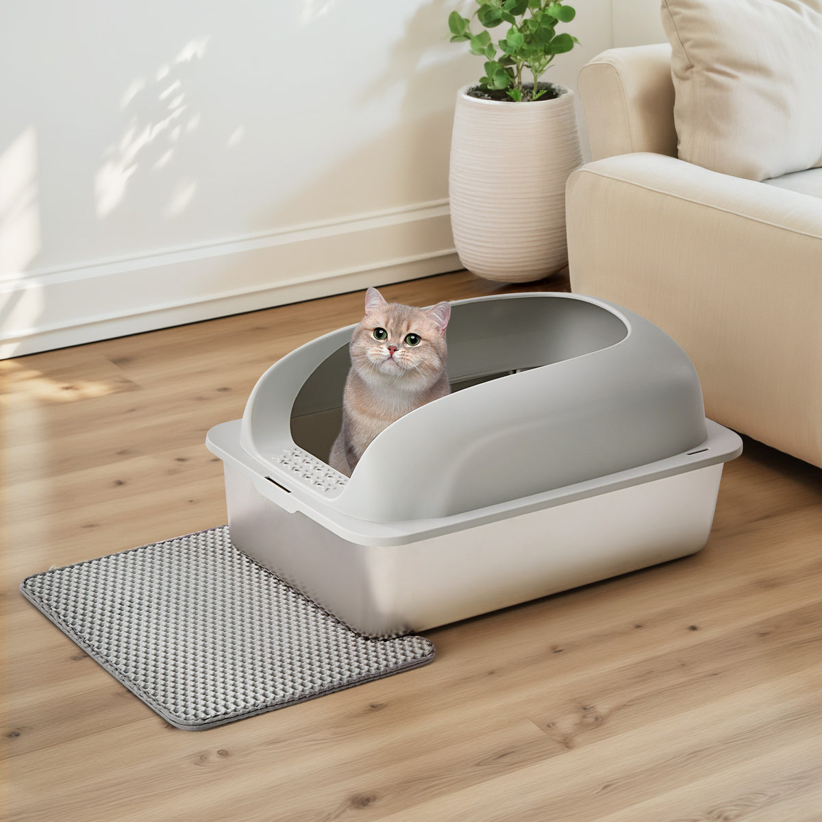 Cat using a covered litter box in a home setting with a plant and sofa.